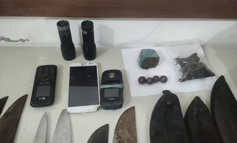 Em Guaratuba, PM flagra extração ilegal de palmito ameaçado de extinção