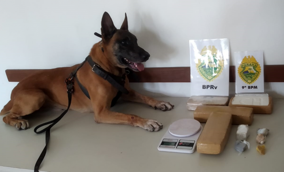 Mais de 25 mil pessoas são abordadas e 323 presas pela PM durante o Carnaval no Paraná