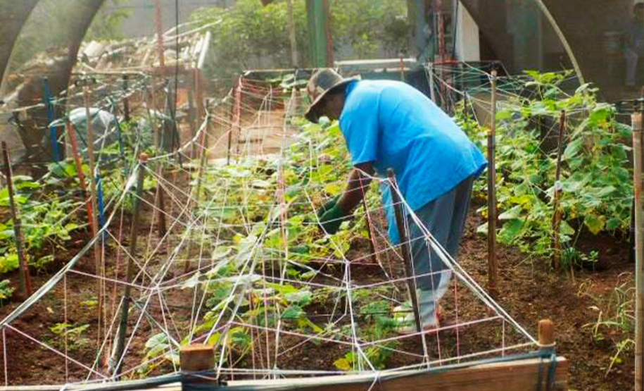 Com 60% dos presos trabalhando, Penitenciária Estadual de Maringá estimula ressocialização