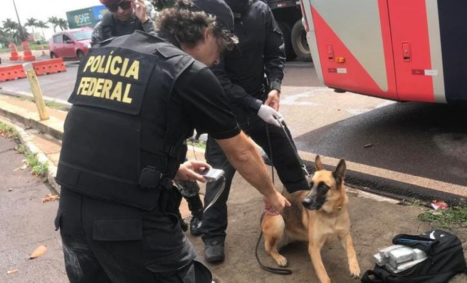 Adolescente é flagrado com 11 tabletes de maconha durante ação da Força Nacional e da Polícia Federal no Oeste do estado