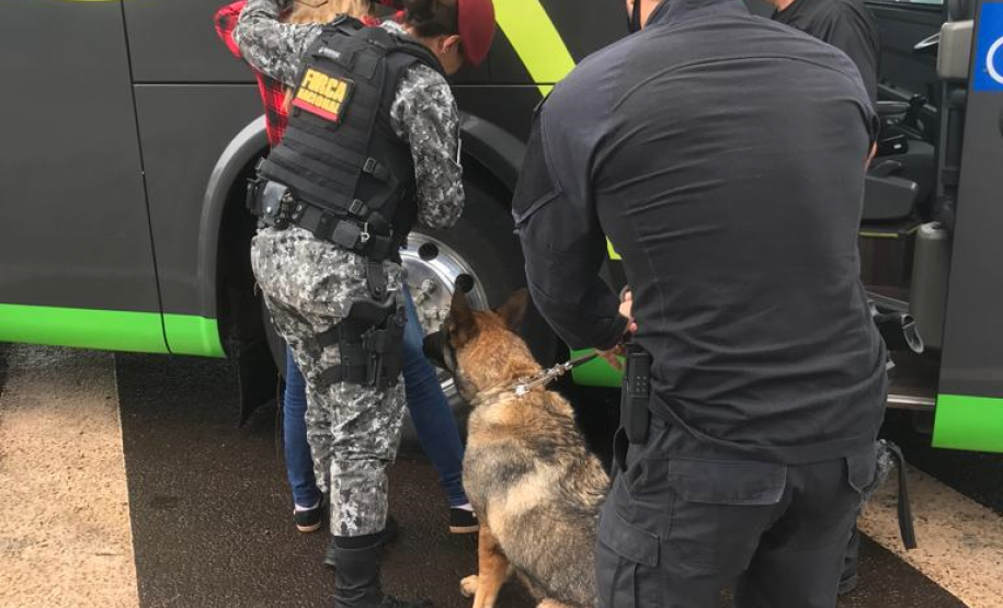 Adolescente é flagrado com 11 tabletes de maconha durante ação da Força Nacional e da Polícia Federal no Oeste do estado