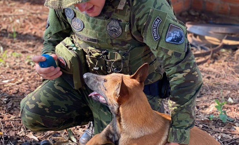 BPFRON apreende mais de 90 quilos de maconha em Toledo