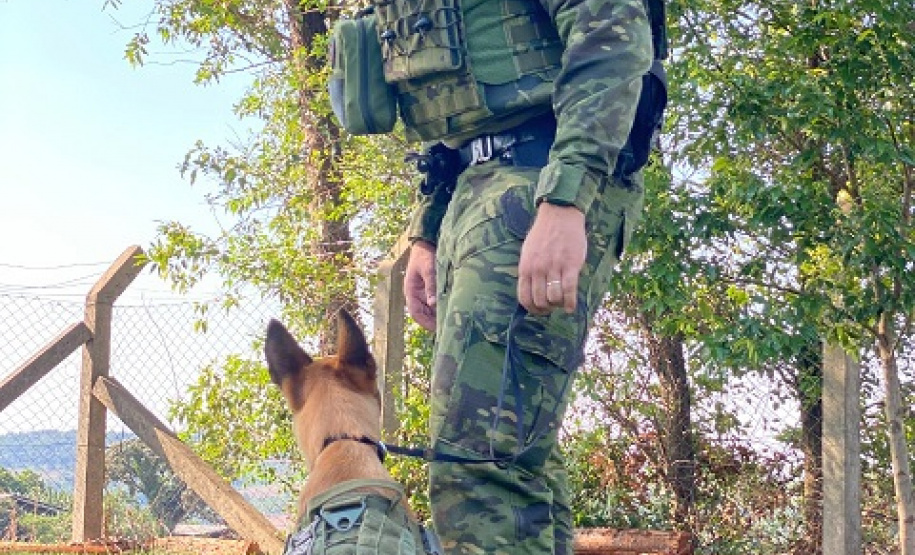 BPFRON apreende mais de 90 quilos de maconha em Toledo