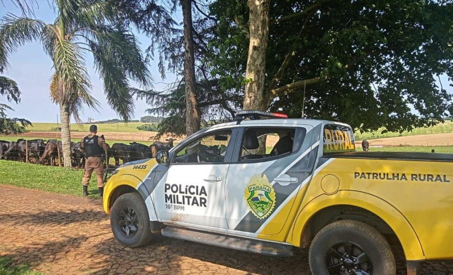 Operação Segurança Rural prende mais de 100 pessoas e apreende 32 armas em ambientes rurais
