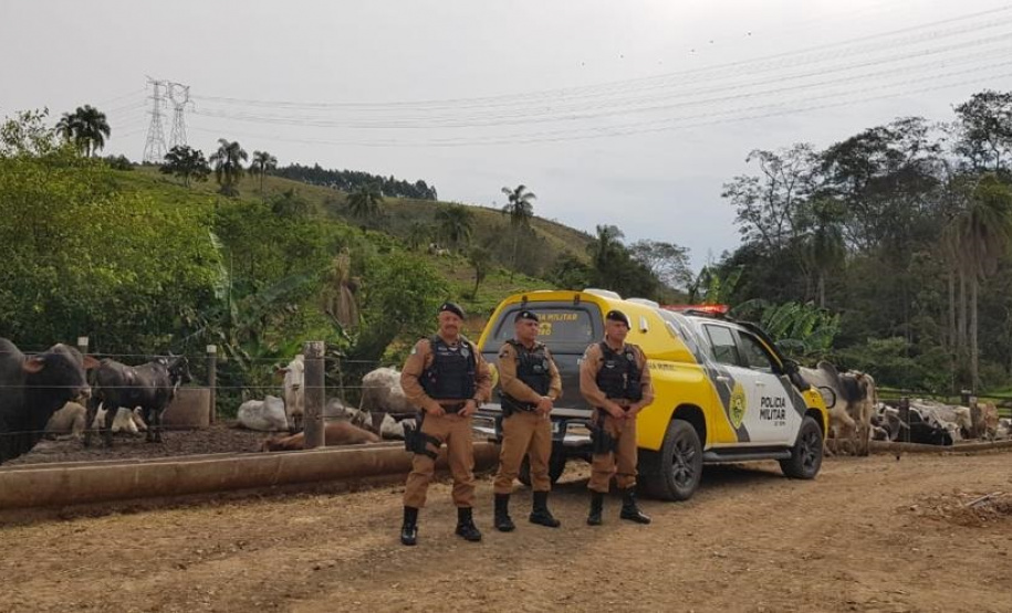 Operação Segurança Rural prende mais de 100 pessoas e apreende 32 armas em ambientes rurais