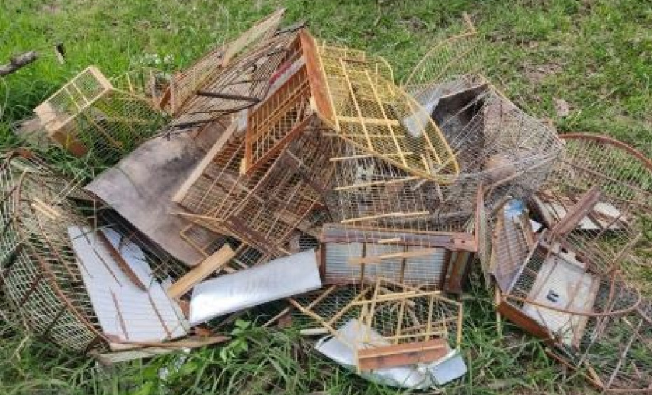 gaiolas e pássaros apreendidos pelo Batalhão de Polícia Ambiental