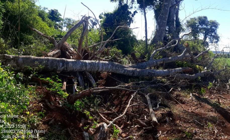 BPAmb localiza desmatamento ambiental após denúncia via 181