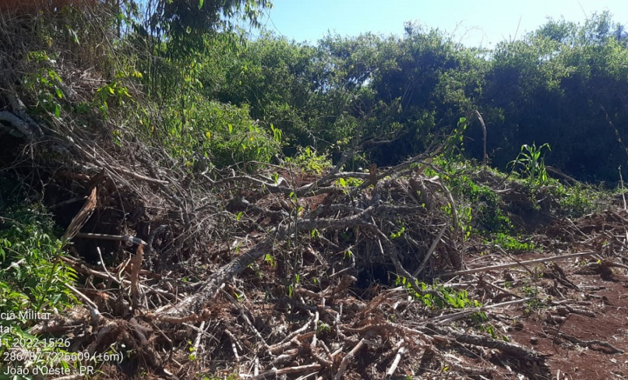 BPAmb localiza desmatamento ambiental após denúncia via 181