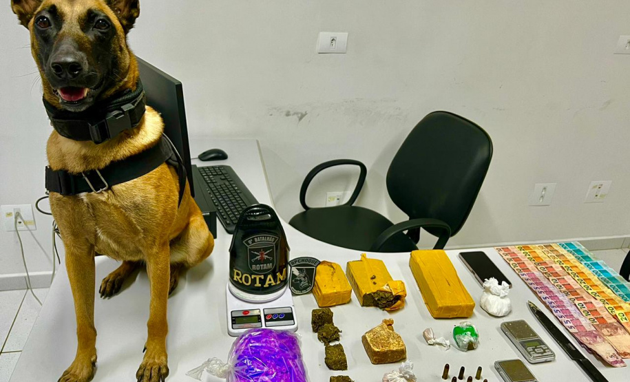 Após denúncia via 181, policiais apreendem 1,9kg de drogas em Paranaguá