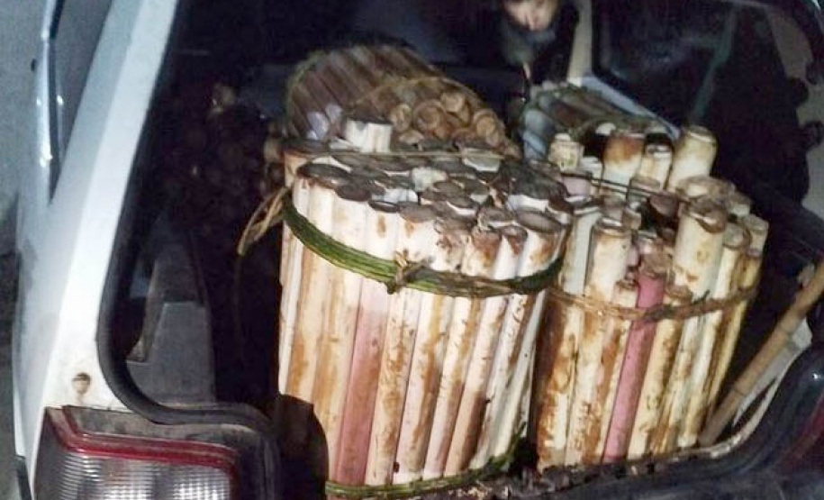 Denúncia via 181 leva à prisão suspeito de transporte de palmito ilegal no litoral do Estado