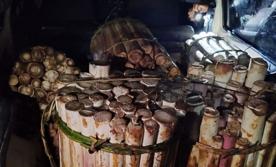 Denúncia via 181 leva à prisão suspeito de transporte de palmito ilegal no litoral do Estado