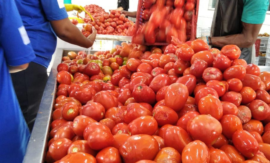 Convênio entre Polícia Penal e Ceasa oferece alimentos para famílias em vulnerabilidade
