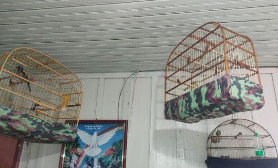 gaiolas e pássaros apreendidos pelo Batalhão de Polícia Ambiental