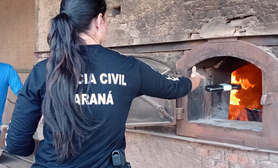 Policial civil joga droga em forno aceso