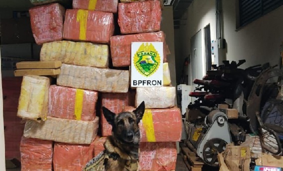 PMPR apreende mais de uma tonelada de droga em Marechal Cândido Rondon