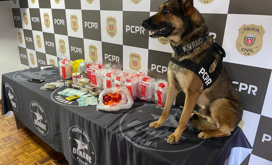cachorro da polícia civil ao lado das drogas, bolos e dinheiro apreendidos