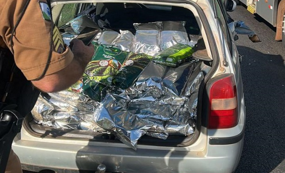 Batalhão de Polícia Rodoviária apreende 400 kg de agrotóxicos ilícitos em Maringá