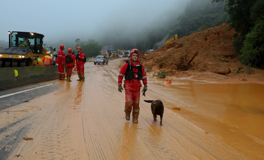 Forças de salvamento fazem nova varredura na BR-376 e não encontram vítimas
