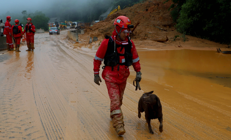 Forças de salvamento fazem nova varredura na BR-376 e não encontram vítimas