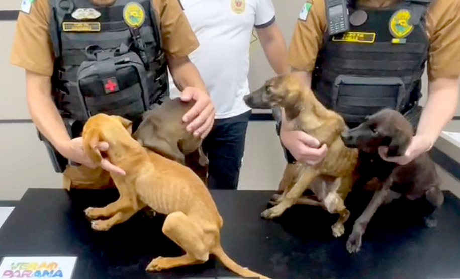 Policiais prendem mulher e apreendem adolescente por maus-tratos a animais em Matinhos