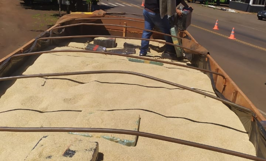 Cão farejador auxilia na apreensão de 1,4 tonelada de maconha