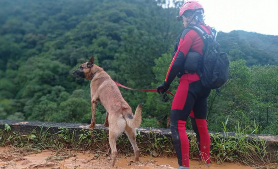 Equipes retiram 7 mil metros cúbicos de terra na BR-376 e buscas por vítimas avançam