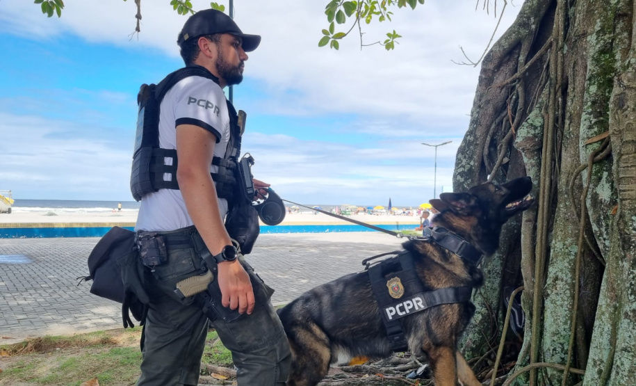 PCPR realiza fiscalização com auxílio de cães policiais no Litoral