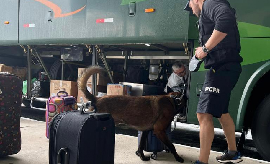 PCPR realiza fiscalização com auxílio de cães policiais no Litoral