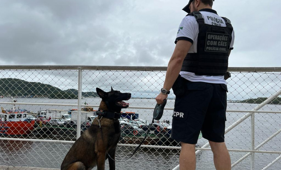 PCPR realiza fiscalização com auxílio de cães policiais no Litoral