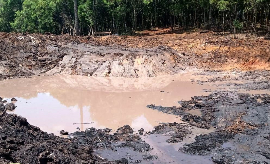Denúncia leva a polícia a localizar focos de desmatamento no interior do Paraná