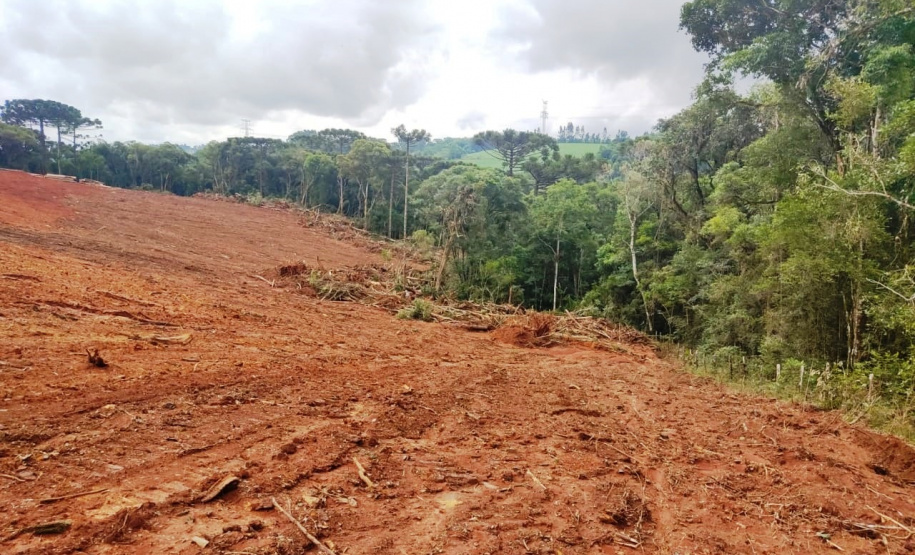 Denúncia leva a polícia a localizar focos de desmatamento no interior do Paraná