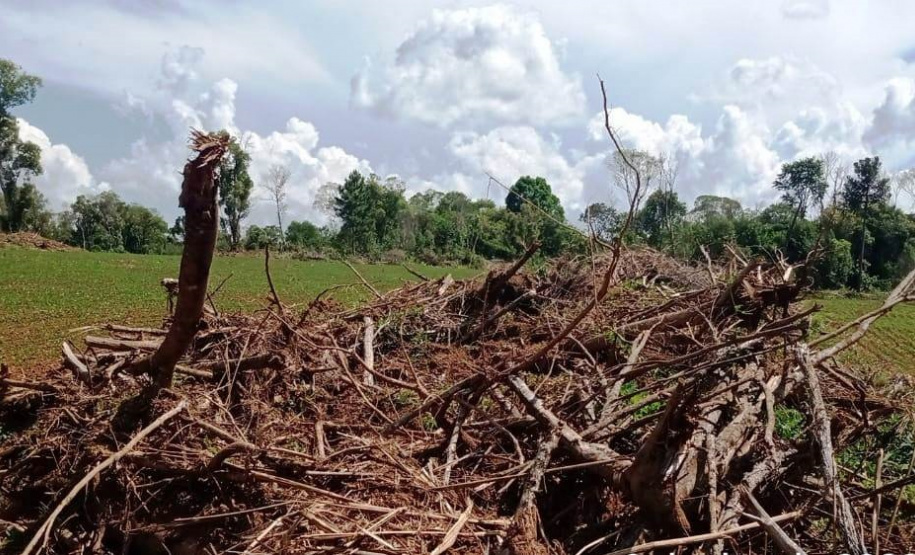 Denúncia leva a polícia a localizar focos de desmatamento no interior do Paraná