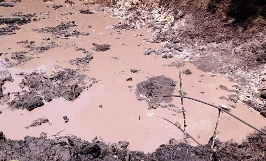 Denúncia leva a polícia a localizar focos de desmatamento no interior do Paraná