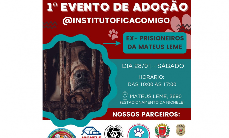 Polícia Civil participa de evento de doação de cães que foram resgatados em Curitiba