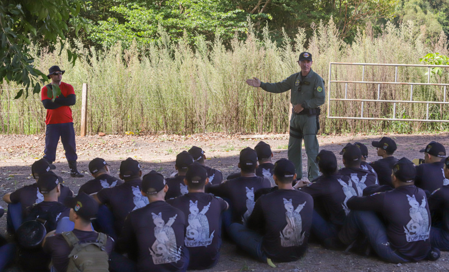 Base em Querência do Norte reforça integração das forças e reduz criminalidade no Noroeste