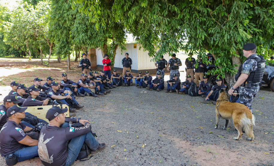 Base em Querência do Norte reforça integração das forças e reduz criminalidade no Noroeste