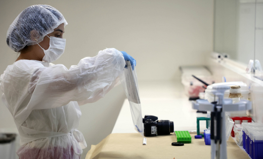 Polícia Científica do Paraná é referência no trabalho com perfis genéticos e análise de drogas