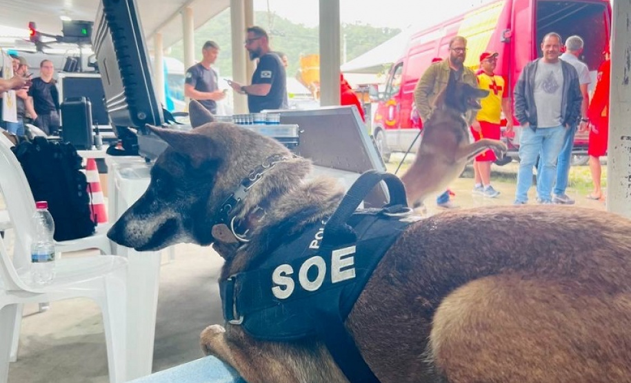 Cães da Polícia Penal são atração do Litoral Cidadão