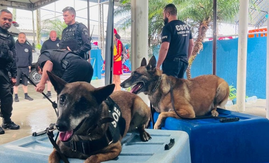 Cães da Polícia Penal são atração do Litoral Cidadão