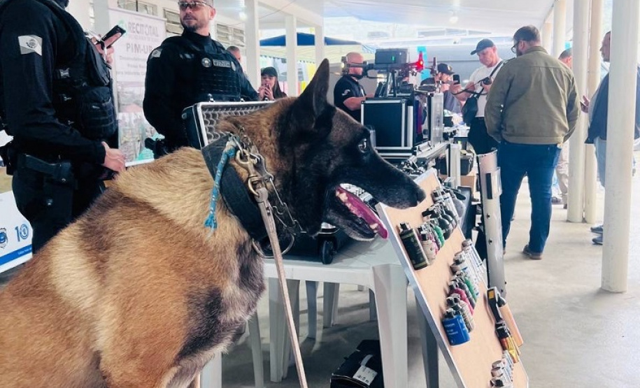 Cães da Polícia Penal são atração do Litoral Cidadão