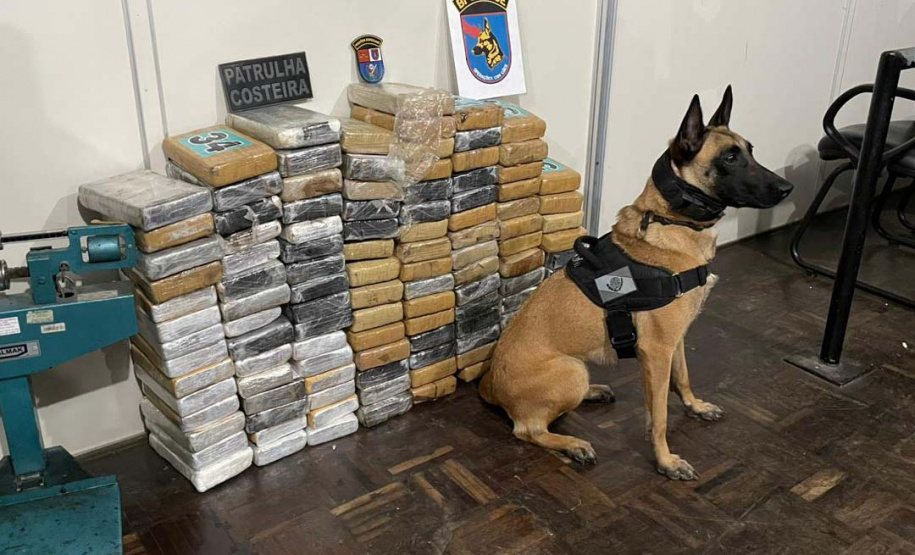 Polícia Militar apreende mais de 140 quilos de cocaína em Paranaguá