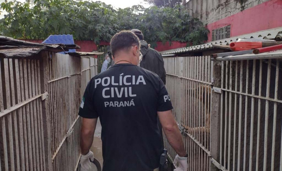 PCPR deflagra operação para resgatar 300 cães em situação de maus-tratos em Curitiba