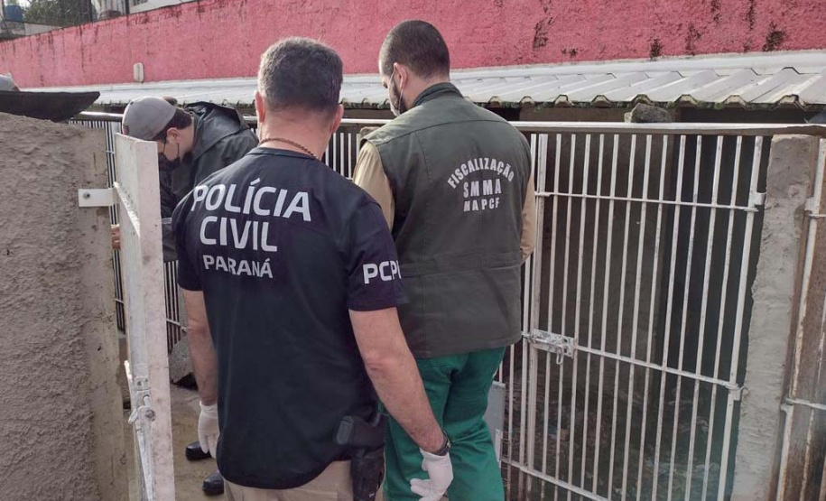 PCPR deflagra operação para resgatar 300 cães em situação de maus-tratos em Curitiba