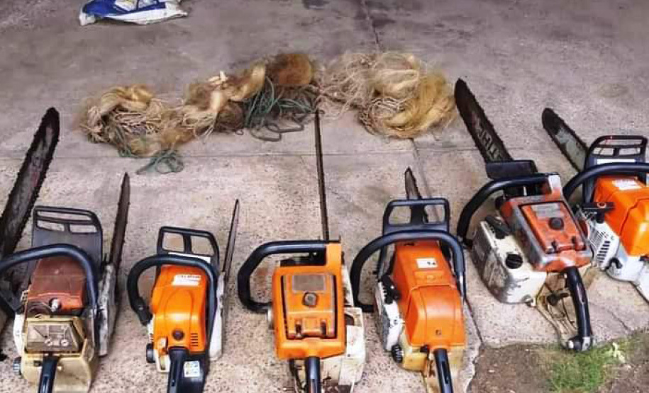 Megaoperação contra desmatamento resulta em prisões em General Carneiro