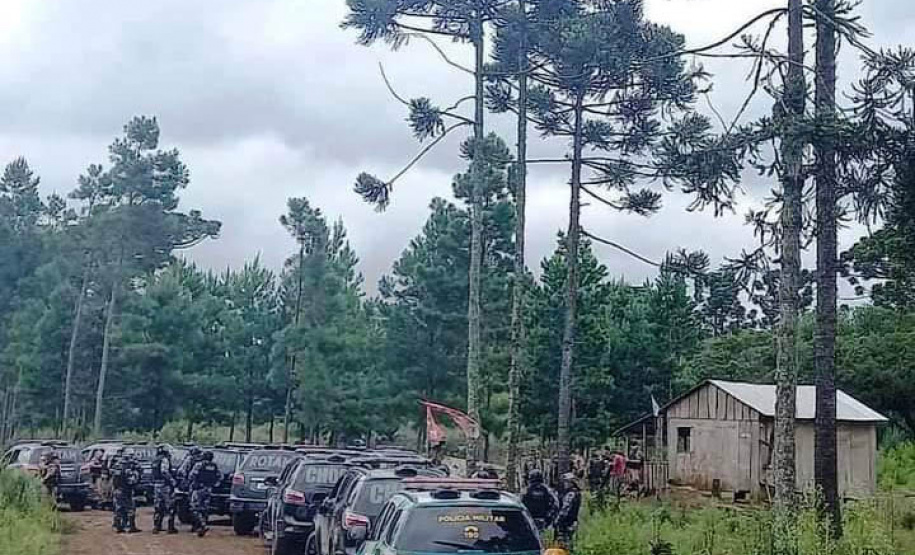 Megaoperação contra desmatamento resulta em prisões em General Carneiro