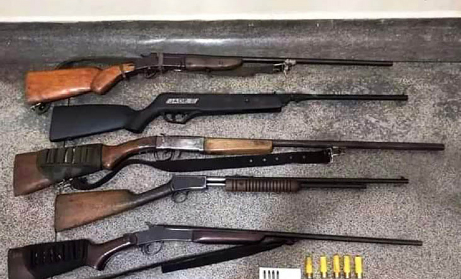 Megaoperação contra desmatamento resulta em prisões em General Carneiro