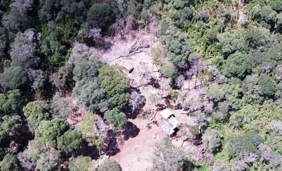 Megaoperação contra desmatamento resulta em prisões em General Carneiro