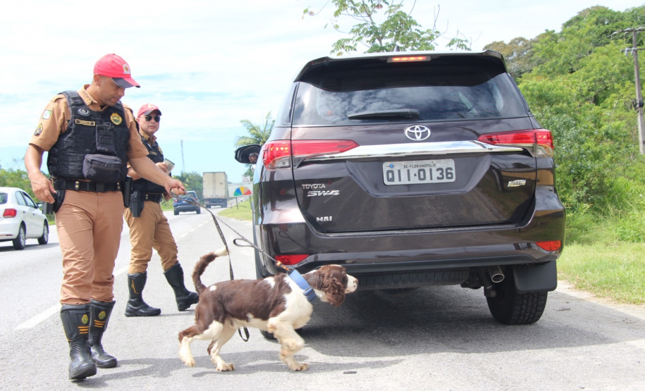 Cães da Polícia Rodoviária Estadual ajudam a garantir Carnaval mais seguro no Litoral