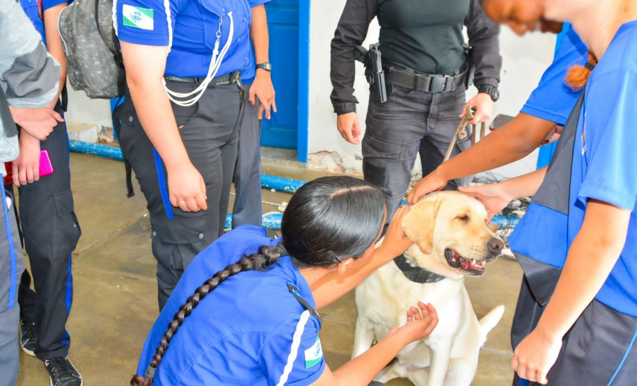 O alerta é que as drogas são a porta de entrada e um dos primeiros passos para inserção numa vida de crime. Além da apresentação, os alunos interagiram com os cães policiais.