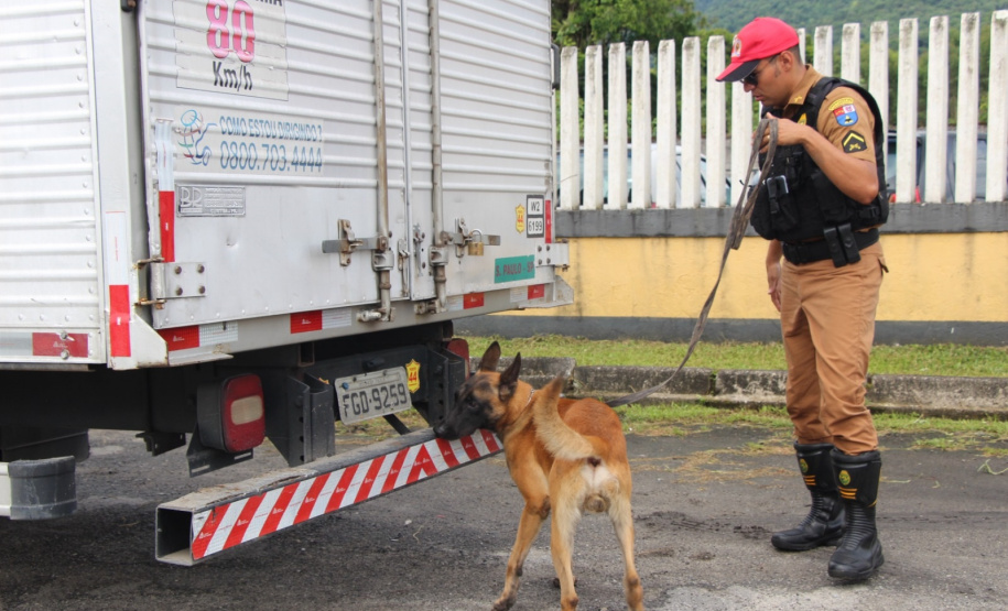 Cães da Polícia Rodoviária Estadual ajudam a garantir Carnaval mais seguro no Litoral